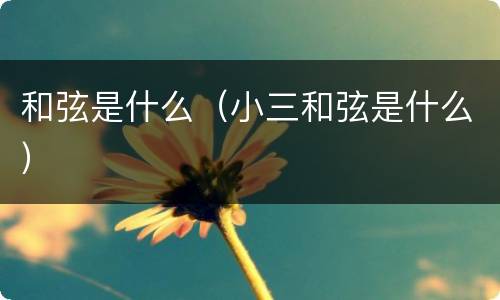 和弦是什么（小三和弦是什么）