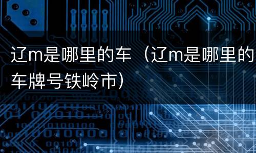 辽m是哪里的车（辽m是哪里的车牌号铁岭市）