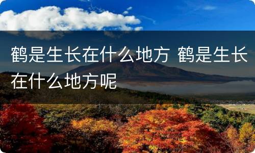 鹤是生长在什么地方 鹤是生长在什么地方呢