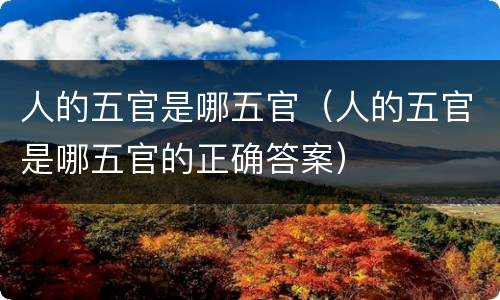 人的五官是哪五官（人的五官是哪五官的正确答案）