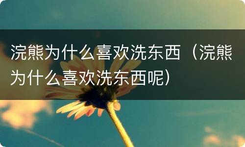浣熊为什么喜欢洗东西（浣熊为什么喜欢洗东西呢）