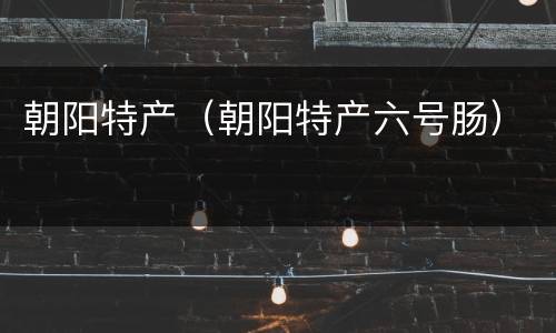 朝阳特产（朝阳特产六号肠）