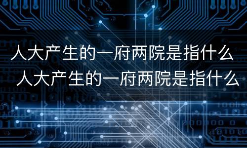 人大产生的一府两院是指什么 人大产生的一府两院是指什么?