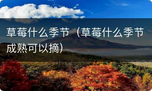 草莓什么季节（草莓什么季节成熟可以摘）