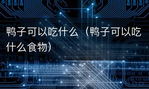 鸭子可以吃什么（鸭子可以吃什么食物）