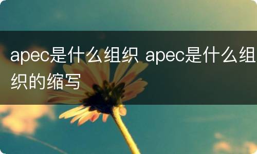 apec是什么组织 apec是什么组织的缩写