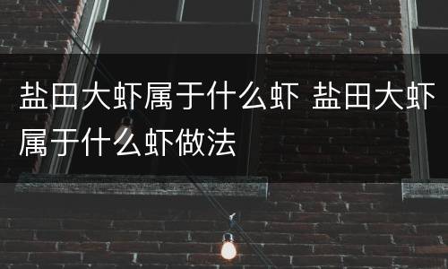 盐田大虾属于什么虾 盐田大虾属于什么虾做法