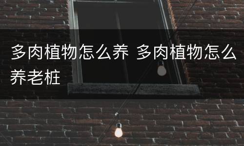 多肉植物怎么养 多肉植物怎么养老桩