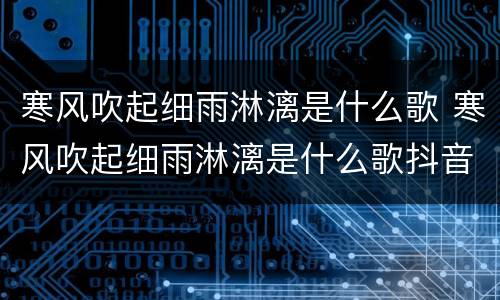 寒风吹起细雨淋漓是什么歌 寒风吹起细雨淋漓是什么歌抖音