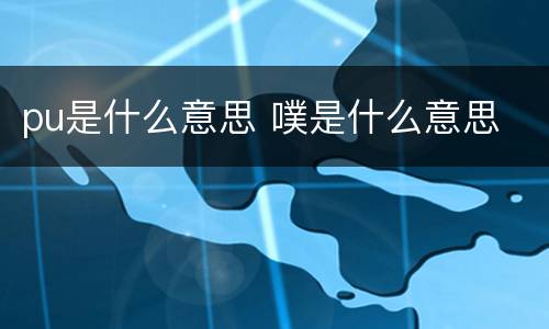 pu是什么意思 噗是什么意思