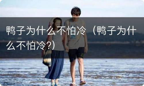 鸭子为什么不怕冷（鸭子为什么不怕冷?）