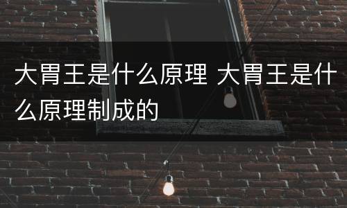 大胃王是什么原理 大胃王是什么原理制成的
