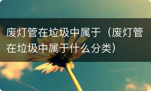 废灯管在垃圾中属于（废灯管在垃圾中属于什么分类）