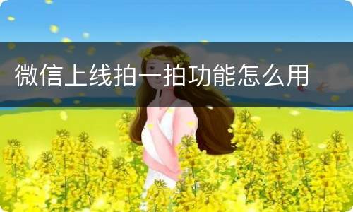 微信上线拍一拍功能怎么用