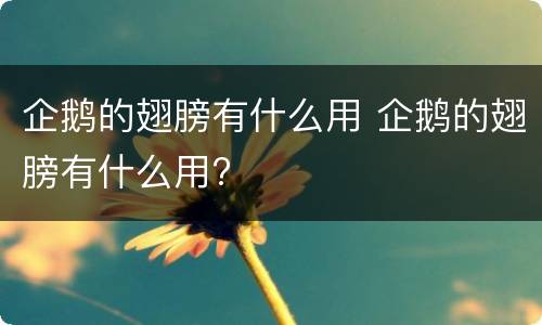 企鹅的翅膀有什么用 企鹅的翅膀有什么用?