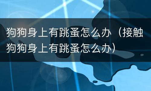 狗狗身上有跳蚤怎么办（接触狗狗身上有跳蚤怎么办）