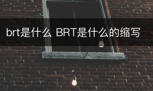 brt是什么 BRT是什么的缩写