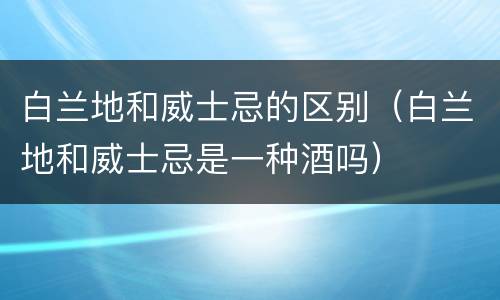 白兰地和威士忌的区别（白兰地和威士忌是一种酒吗）