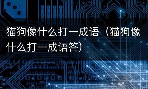 猫狗像什么打一成语（猫狗像什么打一成语答）