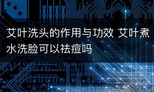 艾叶洗头的作用与功效 艾叶煮水洗脸可以祛痘吗
