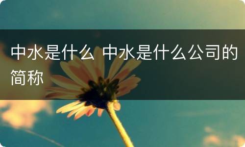 中水是什么 中水是什么公司的简称