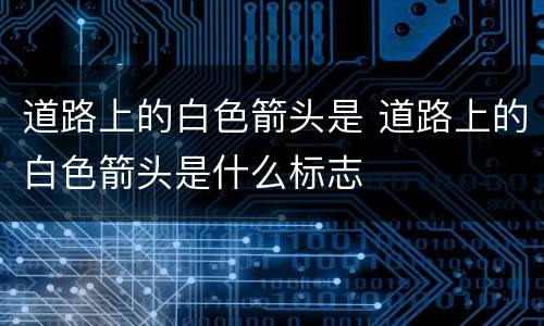 道路上的白色箭头是 道路上的白色箭头是什么标志