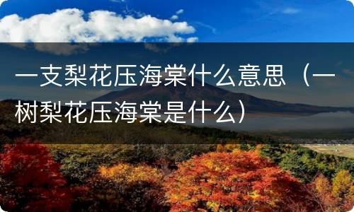 一支梨花压海棠什么意思（一树梨花压海棠是什么）