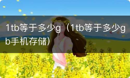 1tb等于多少g（1tb等于多少gb手机存储）