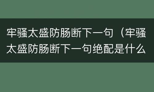 牢骚太盛防肠断下一句（牢骚太盛防肠断下一句绝配是什么）