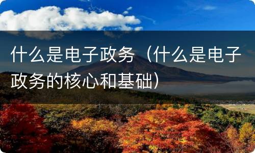 什么是电子政务（什么是电子政务的核心和基础）