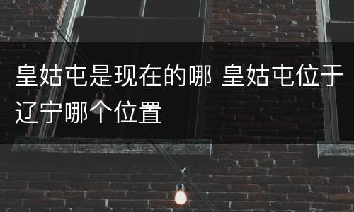 皇姑屯是现在的哪 皇姑屯位于辽宁哪个位置