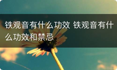 铁观音有什么功效 铁观音有什么功效和禁忌