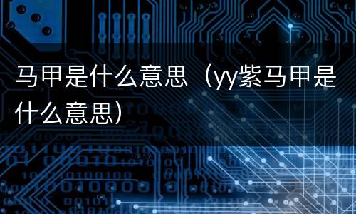 马甲是什么意思（yy紫马甲是什么意思）