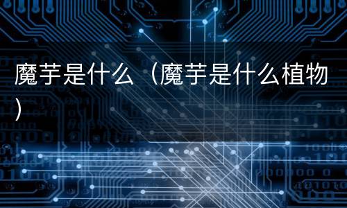 魔芋是什么（魔芋是什么植物）