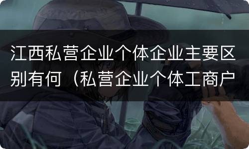 江西私营企业个体企业主要区别有何（私营企业个体工商户区别）