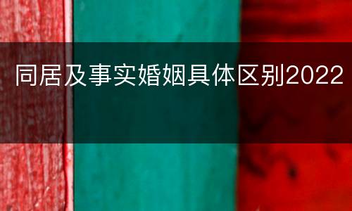 同居及事实婚姻具体区别2022