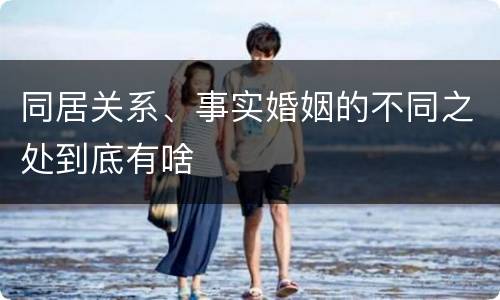 同居关系、事实婚姻的不同之处到底有啥