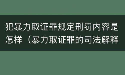 犯暴力取证罪规定刑罚内容是怎样（暴力取证罪的司法解释）