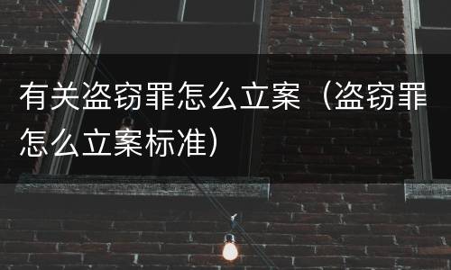 有关盗窃罪怎么立案（盗窃罪怎么立案标准）