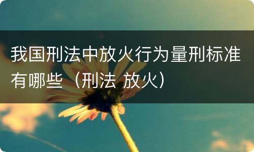 我国刑法中放火行为量刑标准有哪些（刑法 放火）