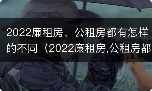 2022廉租房、公租房都有怎样的不同（2022廉租房,公租房都有怎样的不同房型）