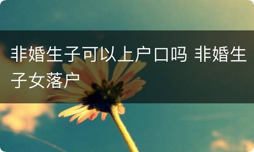 非婚生子可以上户口吗 非婚生子女落户