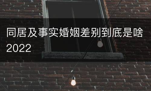 同居及事实婚姻差别到底是啥2022