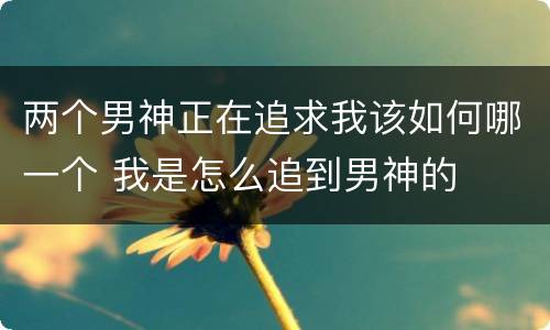 两个男神正在追求我该如何哪一个 我是怎么追到男神的