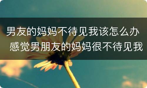 男友的妈妈不待见我该怎么办 感觉男朋友的妈妈很不待见我,怎么办?