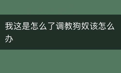 我这是怎么了调教狗奴该怎么办