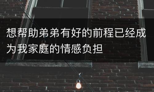 想帮助弟弟有好的前程已经成为我家庭的情感负担