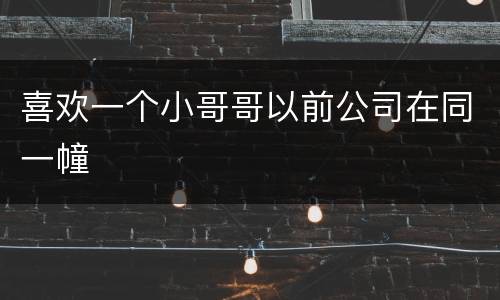 喜欢一个小哥哥以前公司在同一幢