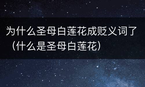 为什么圣母白莲花成贬义词了（什么是圣母白莲花）