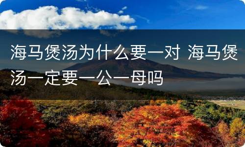 海马煲汤为什么要一对 海马煲汤一定要一公一母吗